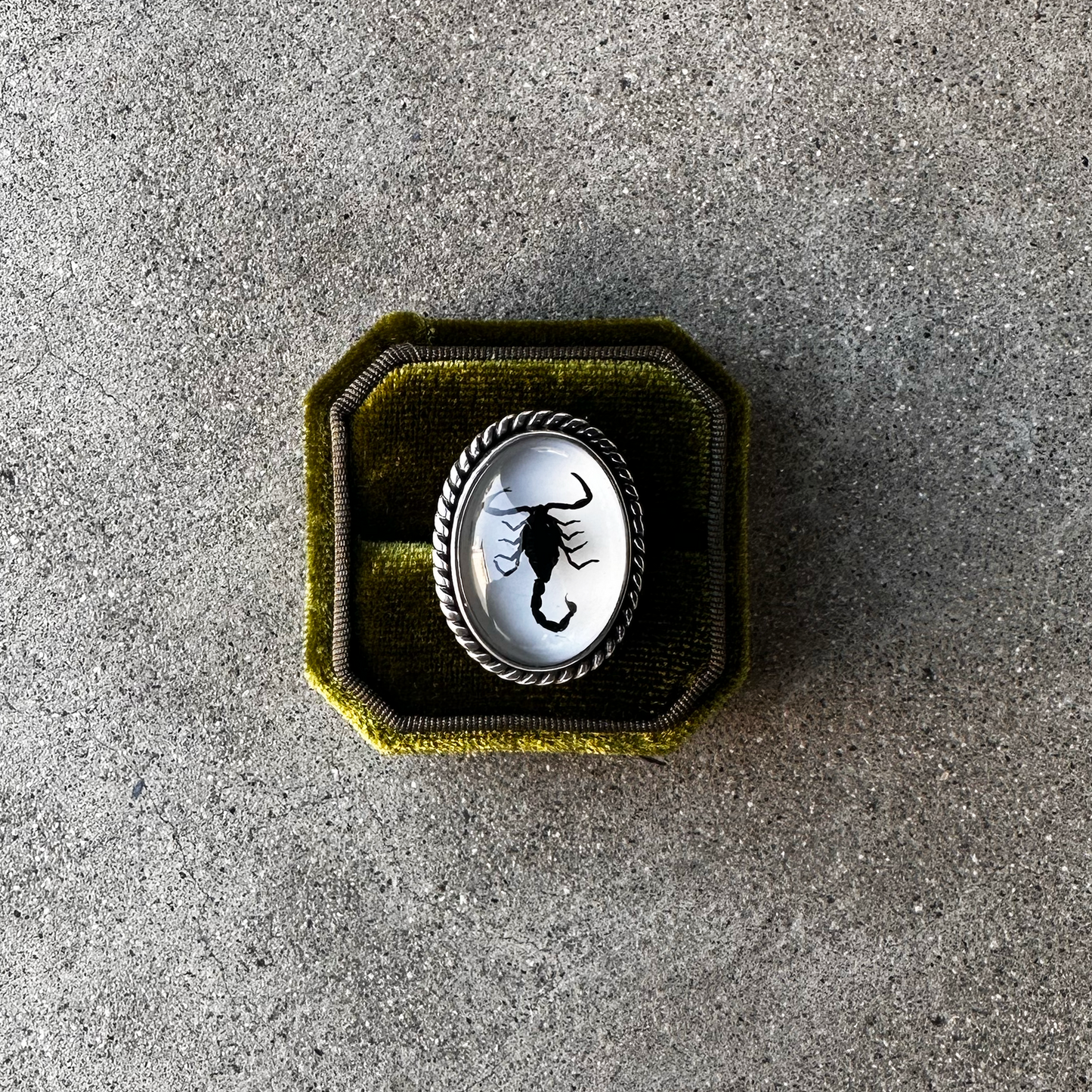 White Scorpion Ring Size 7.5