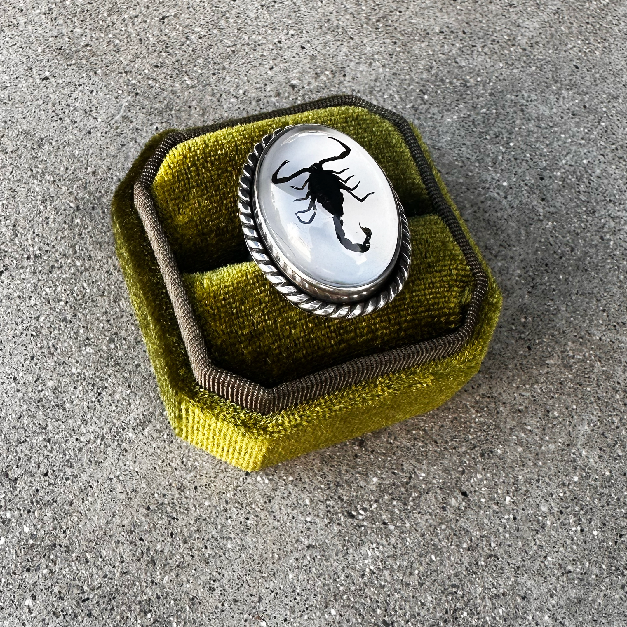 White Scorpion Ring Size 7.5